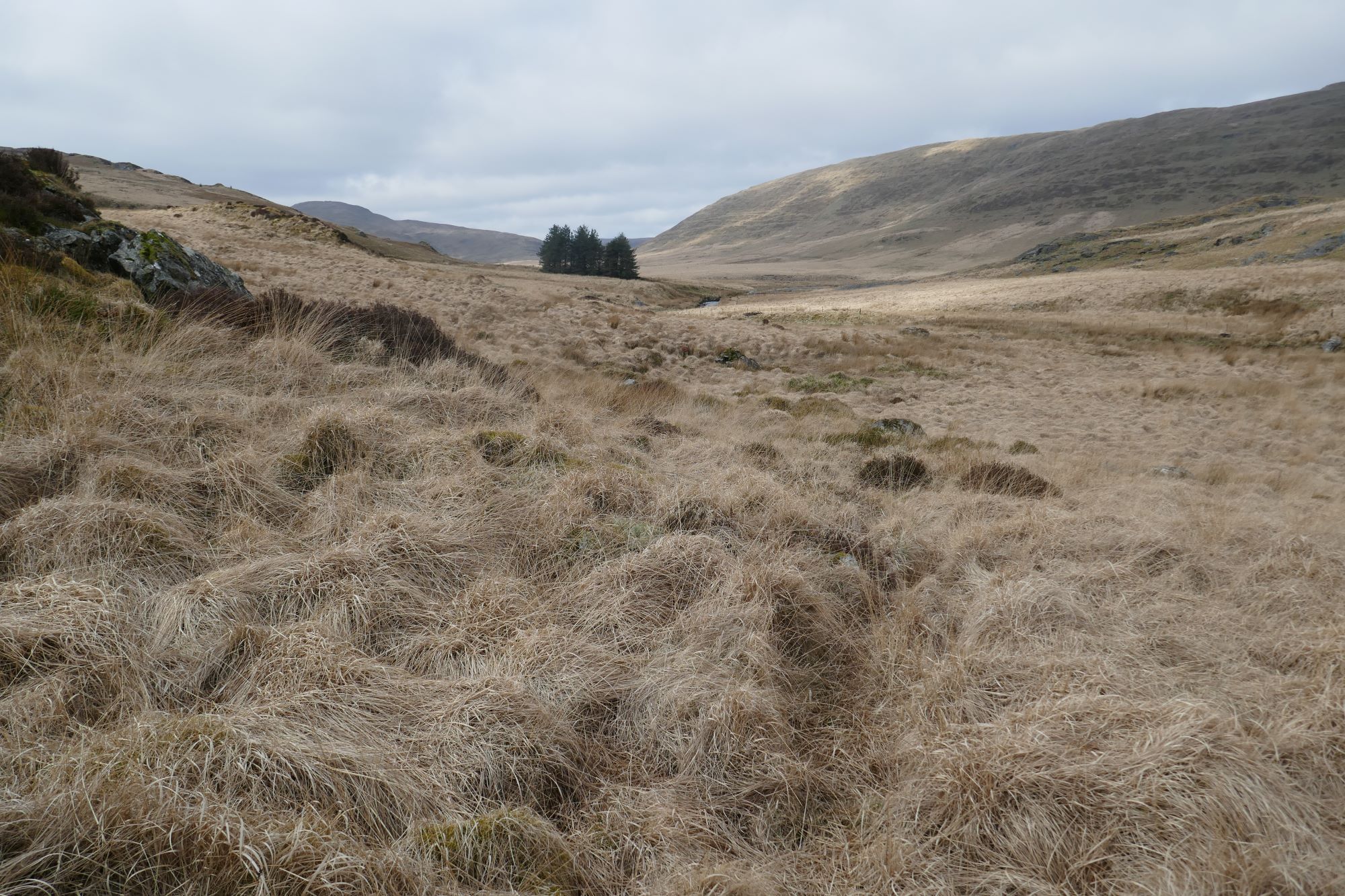 RachelSeabrook.net | Wild Walking | Cwm Gwerin | pic60